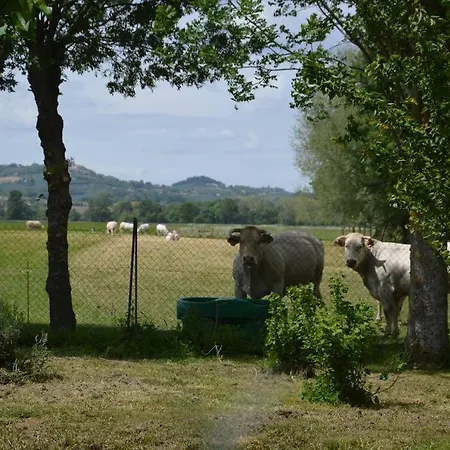 Gite A La Ferme De La Bouriette Revel  Exterior photo