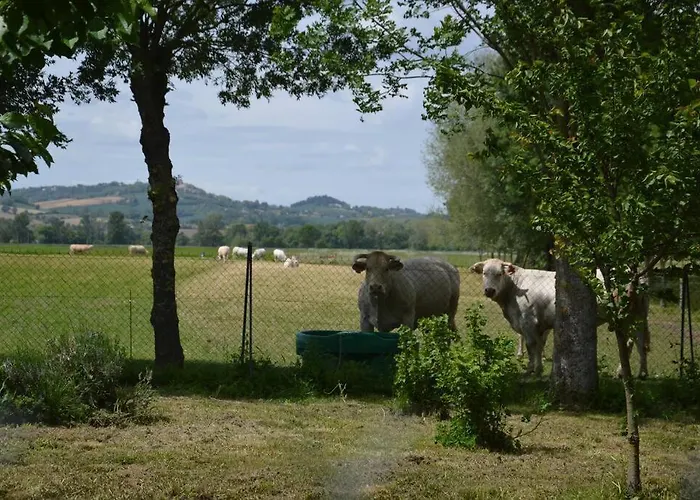 Gite A La Ferme De La Bouriette