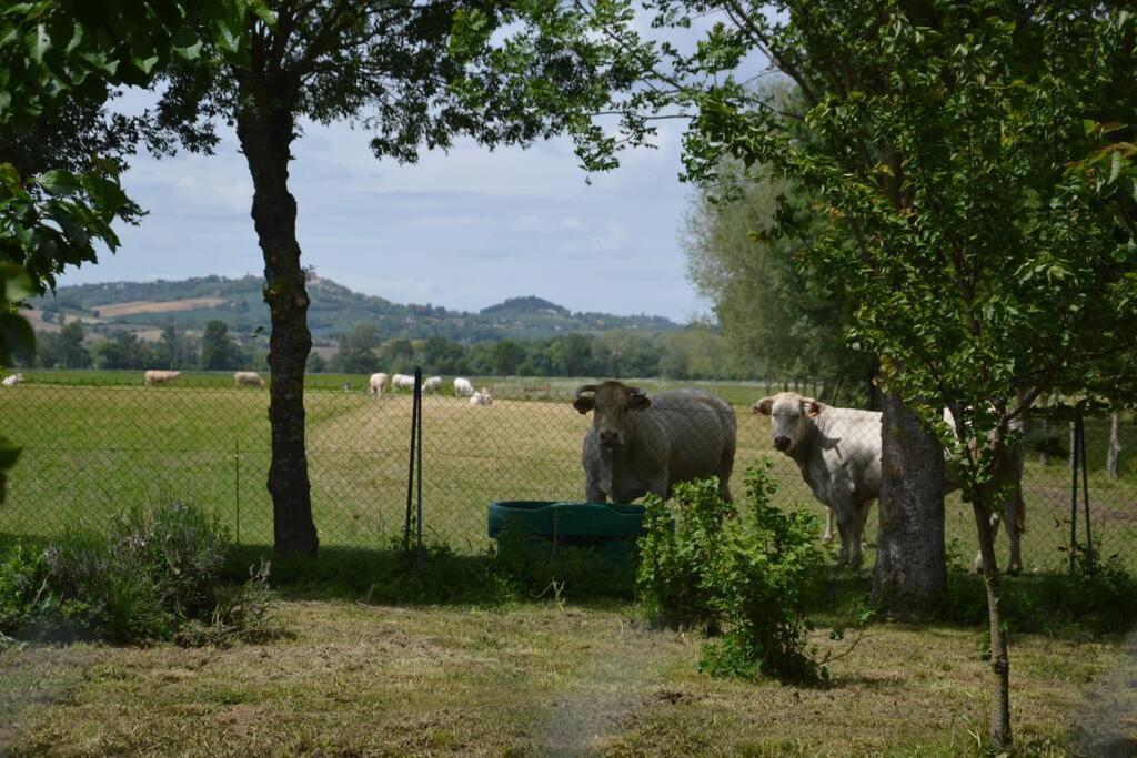 A La Ferme De La Bouriette Holiday home *